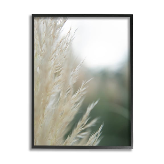 Stupell Industries Close Up Country Pampas Grass Photograph Black Framed Art Print Wall Art, Design by Jason Johnson