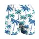 thumbnail image 4 of Kakii Men's Swim Trunks Hawaiian Bathing Mesh Lining Suit Swimsuits Beach Shorts with Pockets, 4 of 6
