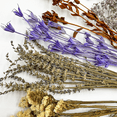 thumbnail image 6 of Bergamo Art 20 Inch High Real Preserved Mixed Bouquets Mix 7 in Large, 6 of 10