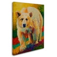 thumbnail image 2 of Trademark Fine Art 'Legend Of The Misty' Canvas Art by Marion Rose, 2 of 3