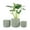 Light Green, variant on UMIAMOY Cylinder Ceramic Plant Pots,5.8+6.9+8.3 inch Plant Pots with Drainage Holes and Saucer,Set of 3 Ceramic Flower Pots for Indoor Outdoor Decoration,White
