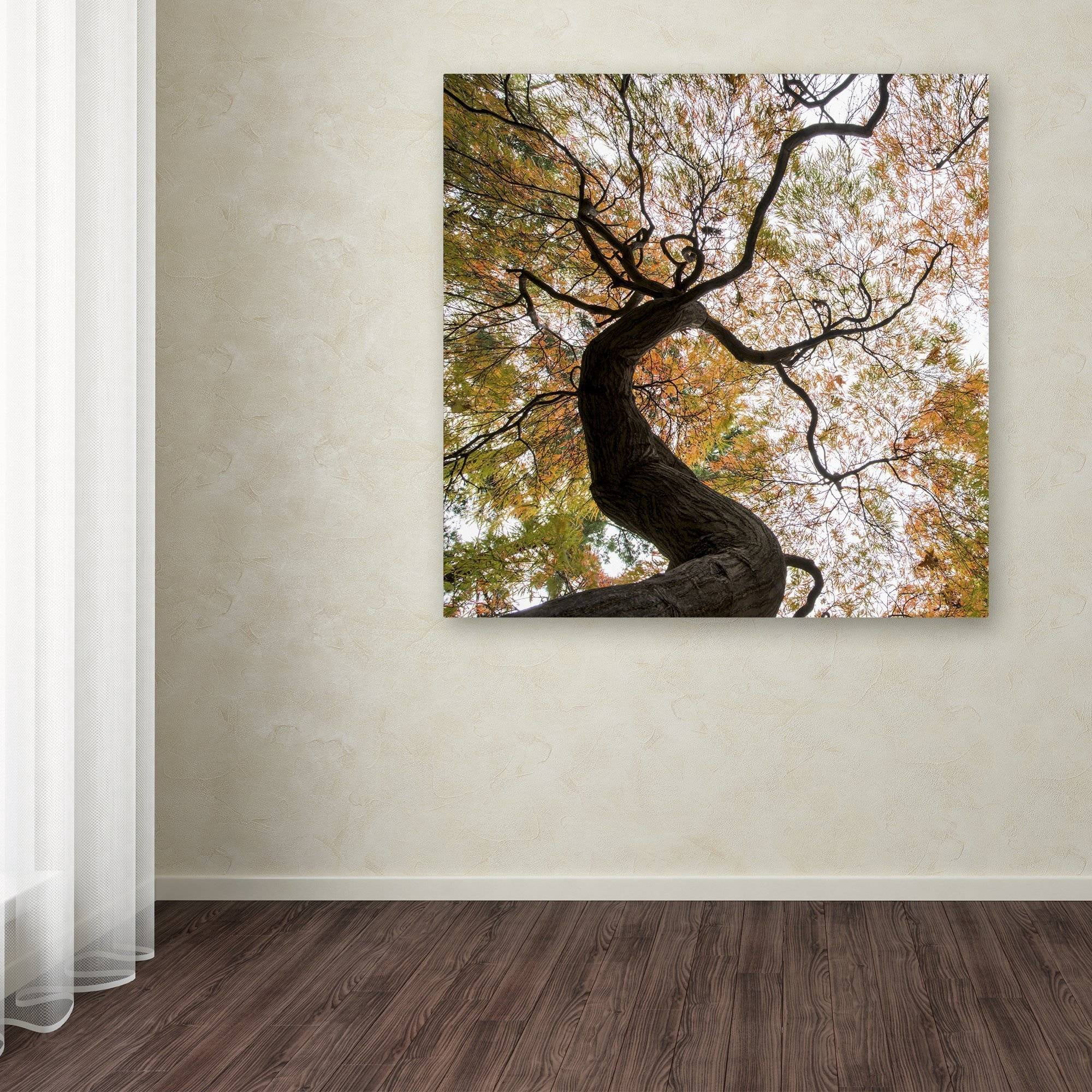 Trademark Fine Art "Under a Japanese Maple 2" Canvas Art by Kurt Shaffer