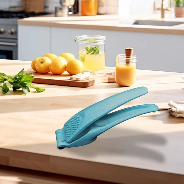 TIMIFIS Kitchen Gadgets A Garlic Press Stainless Steel Iron Garlic Press Plastic Handle Pounding Garlic Press Garlic Puree Kitchen Small Tool Accurate Hole Position Thickened Material