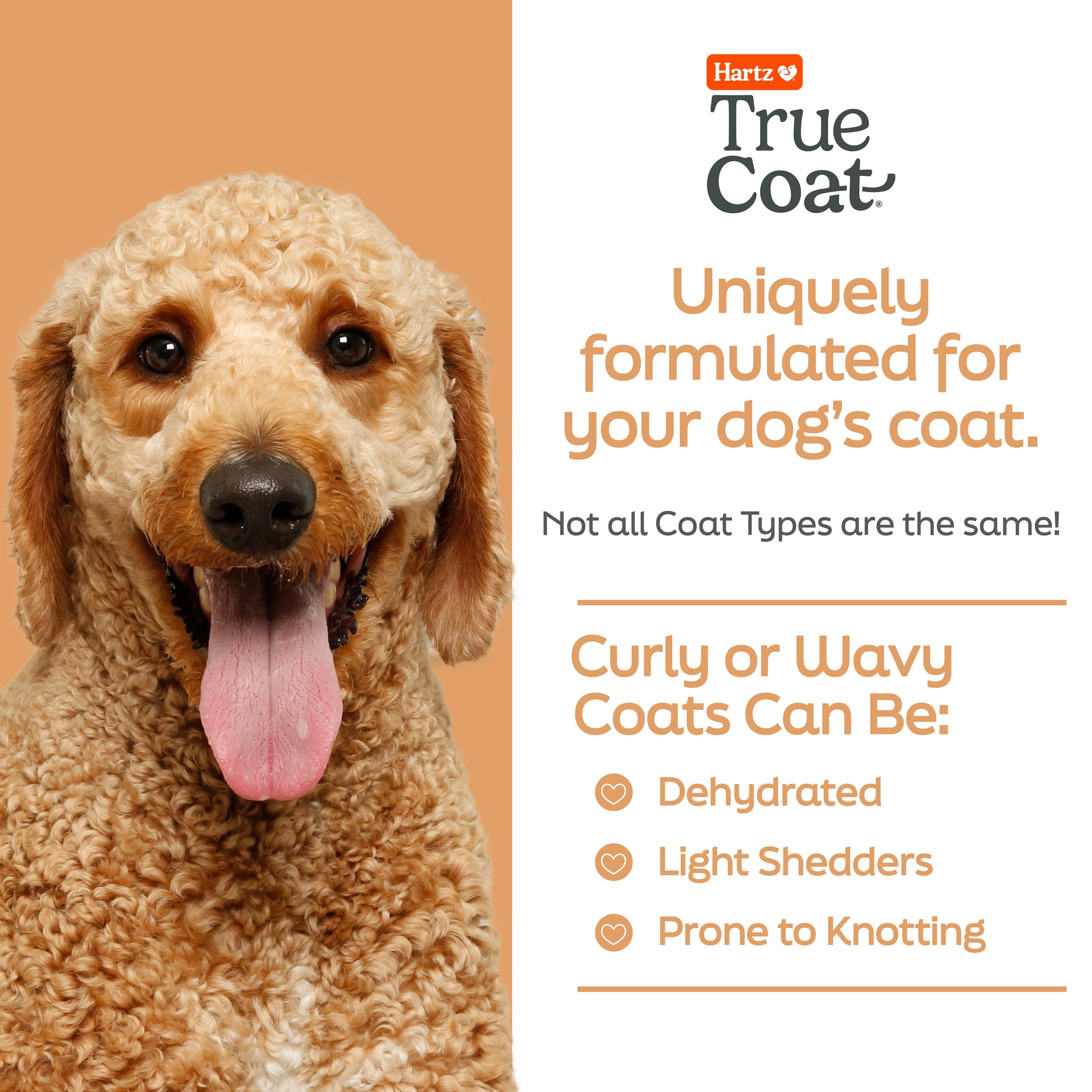Hartz True Coat Curly or Wavy Dog Shampoo, 5 in 1 Detangles & Conditions with Oat Milk, Coconut Oil & Shea Butter, 16 oz