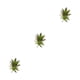 thumbnail image 5 of Planta artificial Cateissary ABS suculentas MM215 Otoño, 5 of 6
