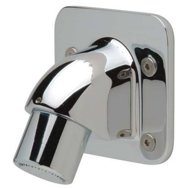 ZURN Z7000I2 Institutional, Self Cleaning Shower Head, Chrome
