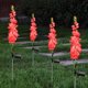 thumbnail image 4 of Luces solares de jardín Delphinium, 4 Uds., IP65, impermeables, luces solares de flores para exteriores, 4 of 9