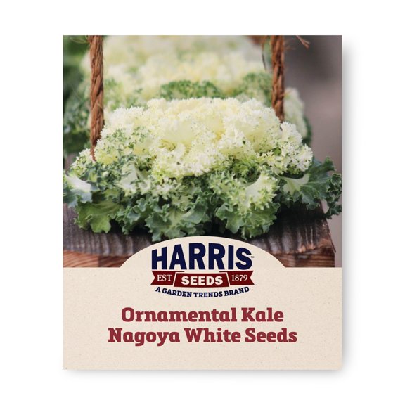 Ornamental Kale Nagoya White F1 Seed