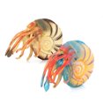 thumbnail image 5 of Modelo de animal marino simulado Modelo de nautilus realista Modelo de animales marinos, 5 of 5