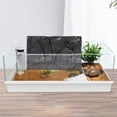 thumbnail image 4 of Decoración realista del fondo del tanque de la tortuga del tablero del fondo del tanque del reptil 3D, 4 of 6