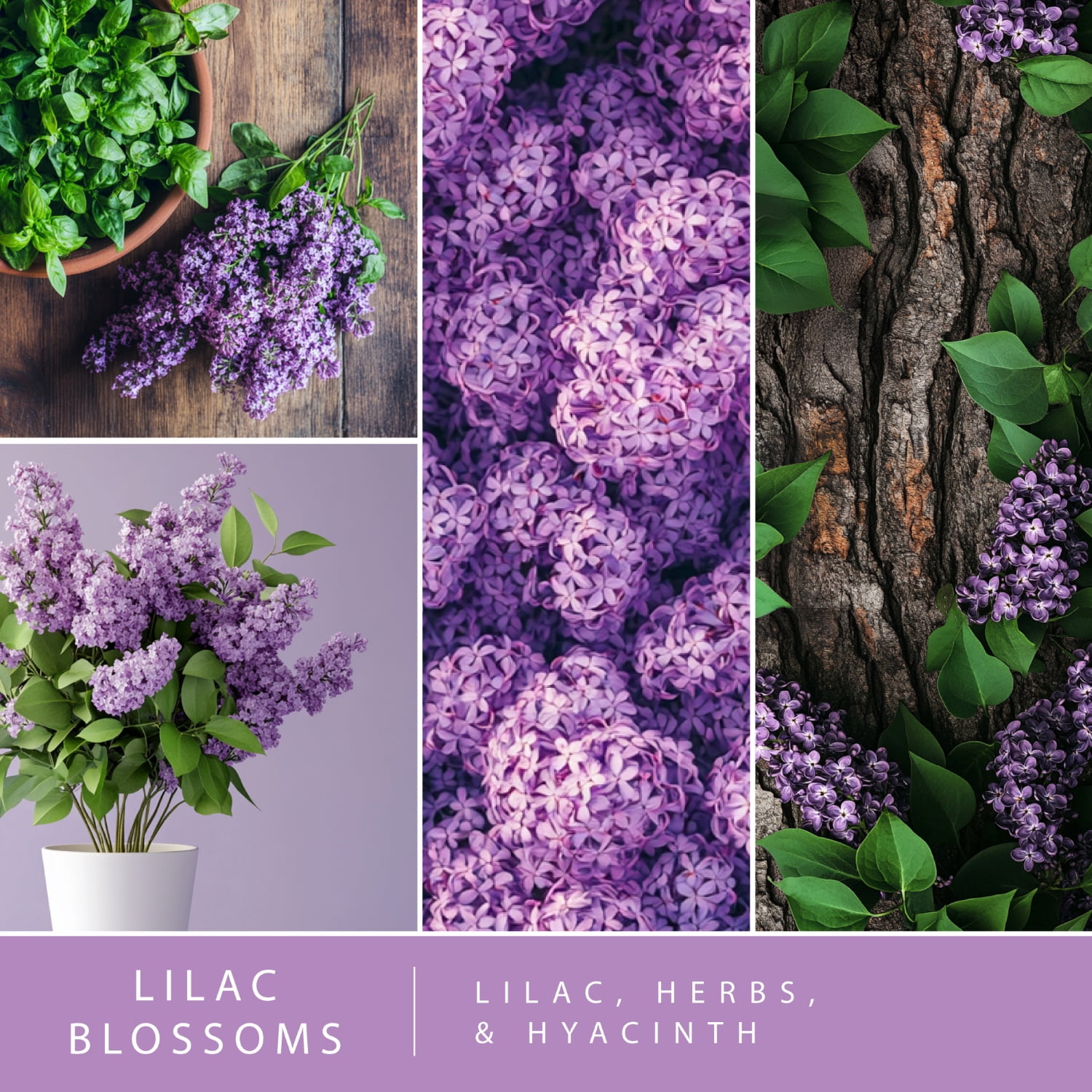 ScentSationals Aroma Accent Fragrance Oil, Lilac Blossom