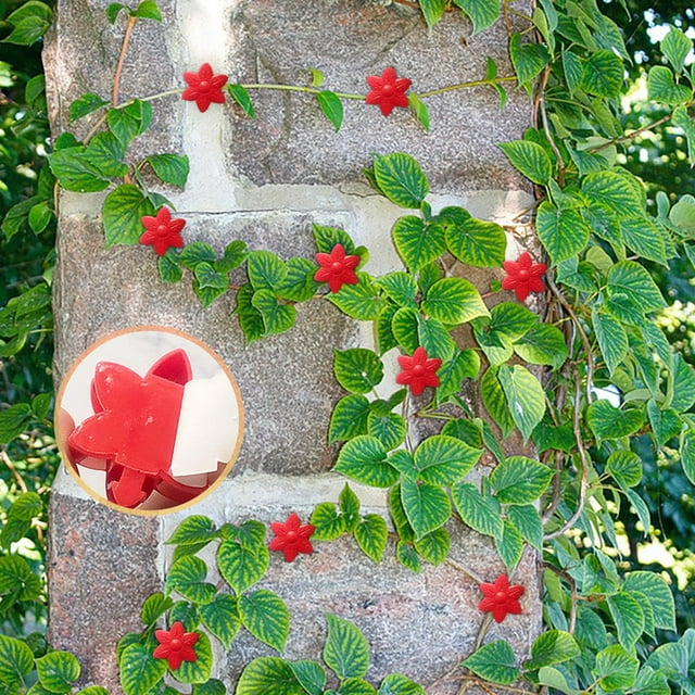 SDNall Hooks for Hanging, Wall Hooks for Hanging, Hooks for Hanging Plants, Wall Mount Clips for Climbing Self Adhesive Hooks for Plants 2025 Hanging Support Clips Adhesive Stickers