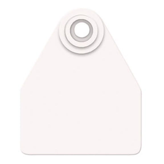 Global Medium, Blank (25) Color: White