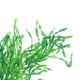 thumbnail image 2 of KAKOWELY En Para Decorar Peceras Con Apariencia Natural Y Fácil Limpieza, 2 of 8