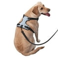 thumbnail image 2 of Fotbe Gray White Floral Arnés para Perro con Estampado –Chaleco Ajustable Acolchado con Asa de Control para Perros Grandes-Small, 2 of 6