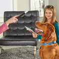 thumbnail image 3 of BRIGHTKINS Truco de Magia Set de Entrenamiento para Perro, 3 of 7