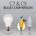 thumbnail image 2 of OptiCore C7 Shatterproof Multicolor Twinkle LED Christmas Replacement Bulbs for String Lights, Pack of 25, 0.84W, E12 Base, 2 of 3