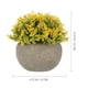 thumbnail image 4 of GOOHOCHY 2 sets Adornos de sala de estar de Bonsai Artificial para decoración (amarillo, verde), 4 of 4