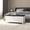 High gloss white, variant on vidaXL Storage Box Entryway Bench Pillow Box with Cushion Engineered Wood