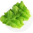 thumbnail image 3 of 5 Pcs Simulation Lettuce Leaves Artificial Vegetables Fake Green Lettuce Props for Home Kitchen Cabinet Desk Shops Decor, 3 of 5