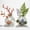 2 PCS, variant on Clear Glass Flower Frog for Vases, 2.4 Inch Hand Blown Irregular Twisted Floral Stem Holder, Modern Aesthetic Flower Arrangement Holder Art for Home Office Table Decor
