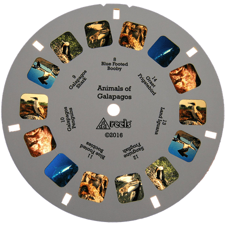 View Master Classic 3D Images Animals of Galapagos 3 Reels Toy Viewfinder