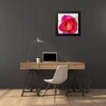 thumbnail image 4 of Thomlinson, Jenny 20x20 Black Modern Framed Museum Art Print Titled - Spring Roses III, 4 of 5