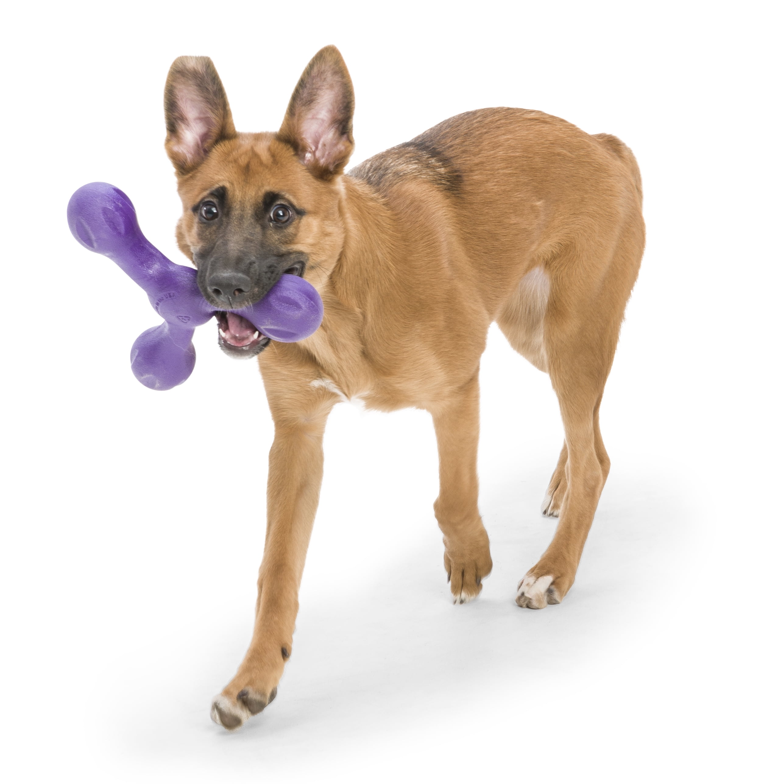 West Paw Zogoflex Echo Skamp Large 8.5" Dog Toy Eggplant