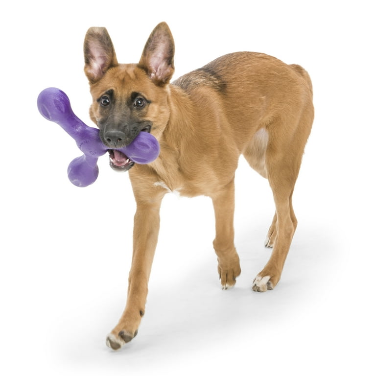 West Paw Skamp Dog Toy Eggplant