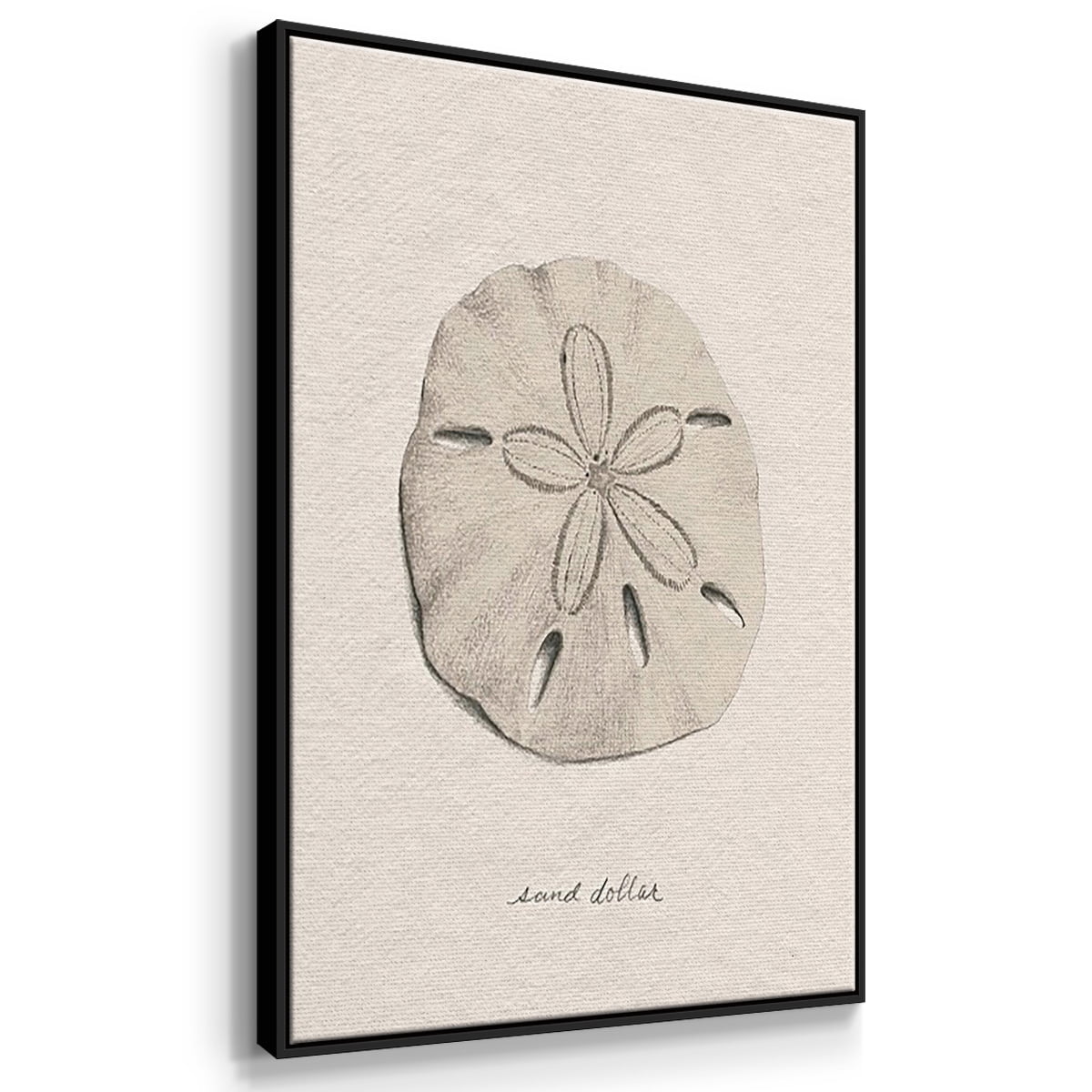 Shore Treasure Study I - Framed Premium Gallery Wrapped Canvas L Frame 3 Piece Set - Ready to Hang