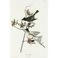 thumbnail image 2 of Audubon, John James 23x32 Gold Ornate Wood Framed with Double Matting Museum Art Print Titled - Pewit Flycatcher, 2 of 4