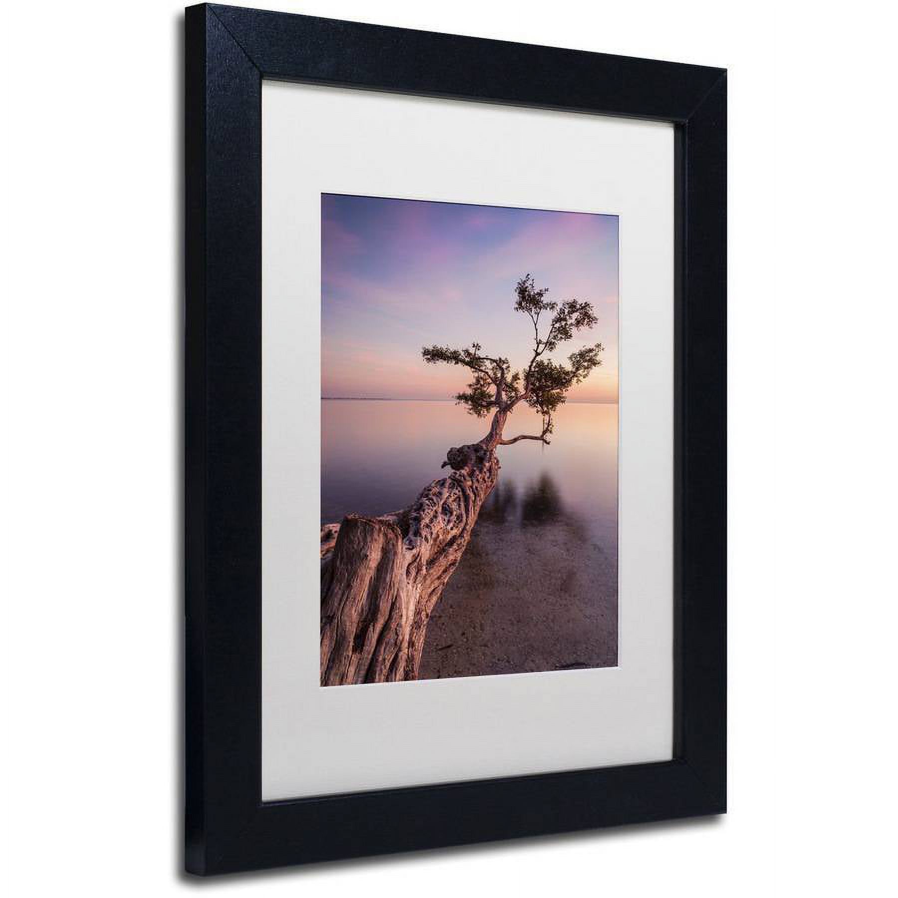 Moises Levy 'Water Tree IV' Matted Framed Art