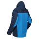 thumbnail image 4 of Regatta - Chaqueta con Capucha Birchdale para Hombre (Rojo Real, Rojo Delhi) Regatta UTRG3474_truereddelhired, 4 of 4