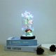 thumbnail image 2 of Decoración de mesa luz de noche leyfeng Flor rosa Muñeca Cubierta de Vidrio, 2 of 8
