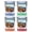 Multicolor (4-Pack), variant on Virginia Design B Souvenir 2 oz Square Shot Glass Clear
