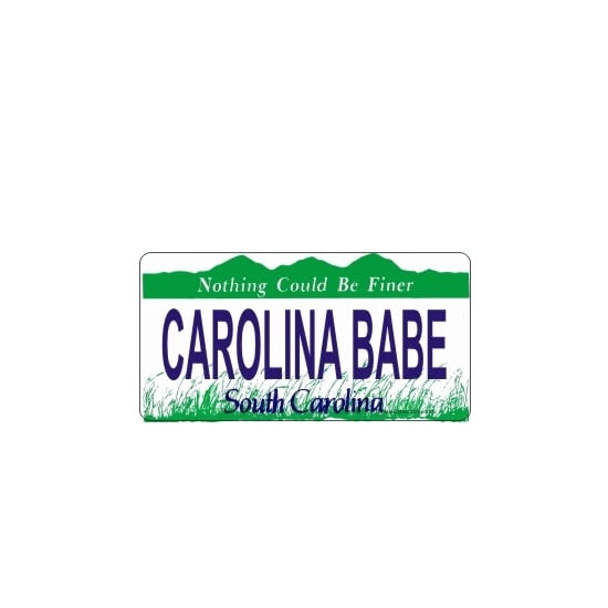 Design It Yourself S. Carolina Bicycle Plate #3. Free Personalization on Plate