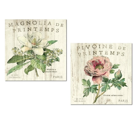 Magnolia Flower Lovely Vintage Distresesd Paris Magnolia and Peony Flower Set by Sue Schlabach; Floral Decor; Two 12x12in Unframed Paper Posters ()