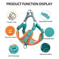 thumbnail image 4 of HANI Dog Harness- No Pull Step-in Small Dog Harness with Quick Release Buckle - Dog Harness for Small Dogs or Medium Dog Harness for Indoor and Outdoor Use，Reflective Easy Control,Blue,L, 4 of 9