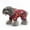 Lion, variant on Tiberpet Waterproof Dog Jacket, Adjustable Dog Rain Jacket with Hoodie, Lightweight Dog Poncho Slicker for Small Medium Large Dogs (XS-XL)