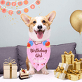 thumbnail image 5 of Bandana para perro de feliz cumpleaños con la cumpleañera, bandana para perro, bandana para perro de feliz cumpleaños, 5 of 5