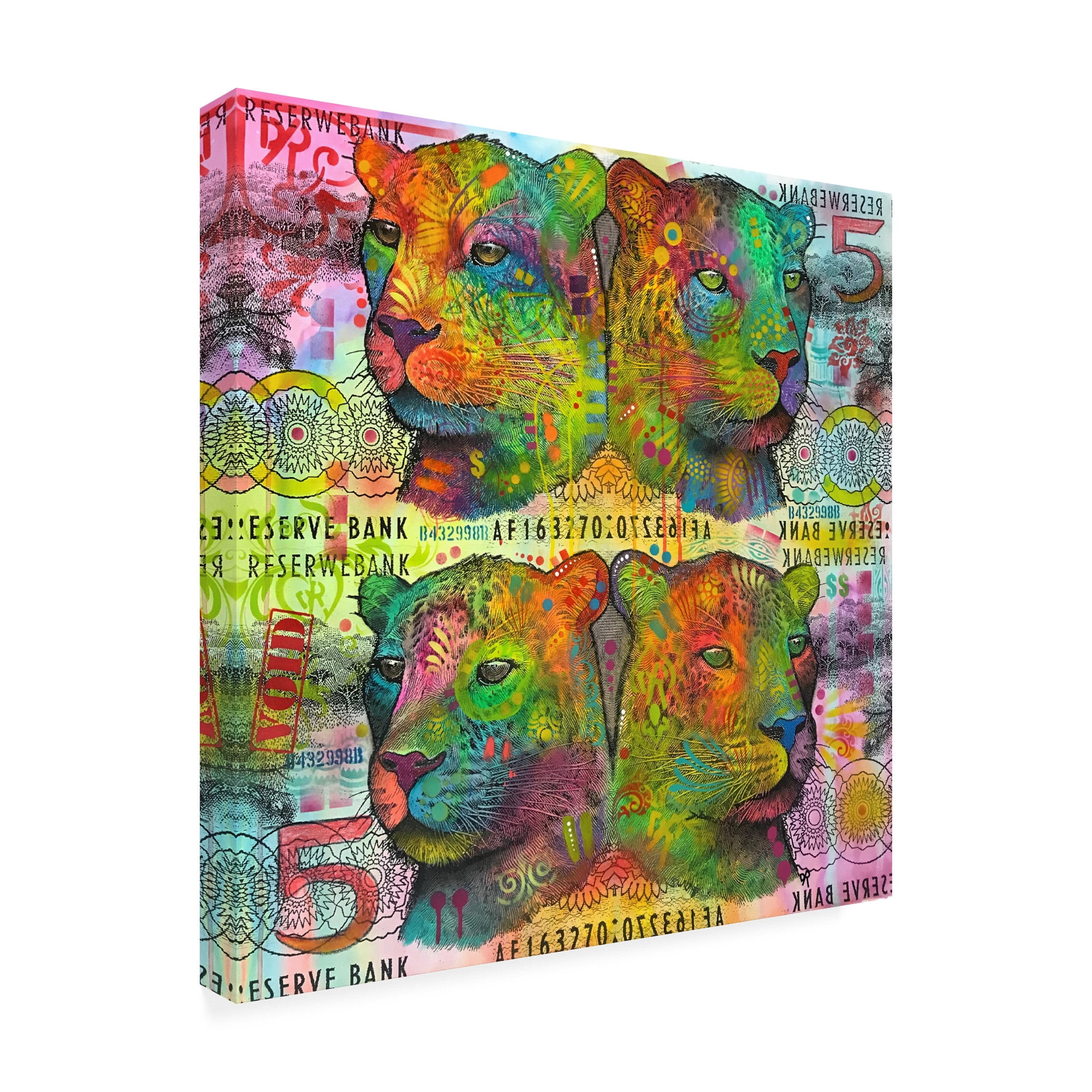 Trademark Fine Art 'Big Cat Reflect 5' Canvas Art by Dean Russo
