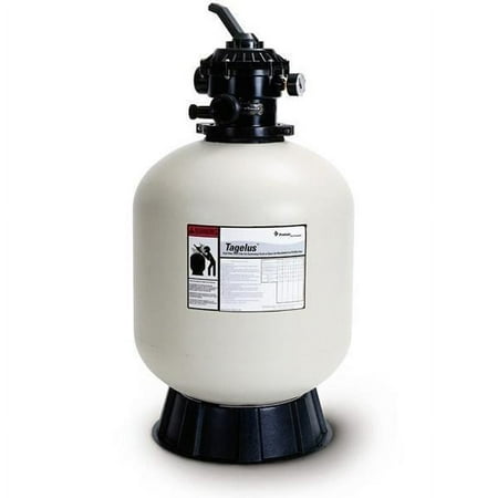 Pentair Tagelus Top Mount Filter With Multiport Valve (TA100D) | EC-145240