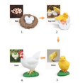 thumbnail image 2 of Figurines de Cycle de Vie Jouet Éducatif Réaliste pour Fêtes Cycles Modèle de Croissance Poulet, 2 of 9