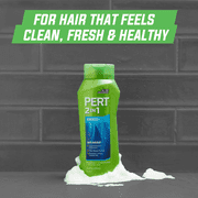 Pert plus Anti-Dandruff 2-in-1 Shampoo & Conditioner, 25.4 Oz Pack of 6