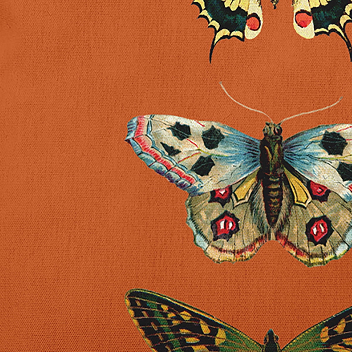 Simply Daisy 26-inch Square Butterflies Polyester Indoor Pillow, Perfect Orange Qty 1