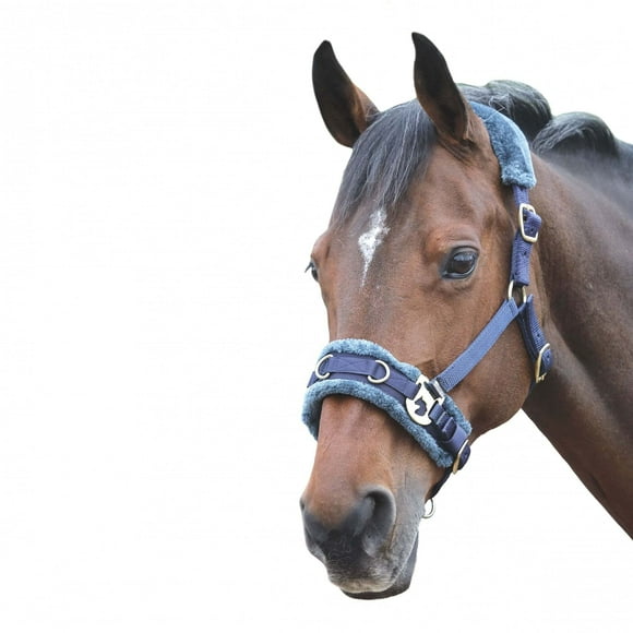 Shires Doublure en Polaire Lunge Cavesson (Full, Marine)
