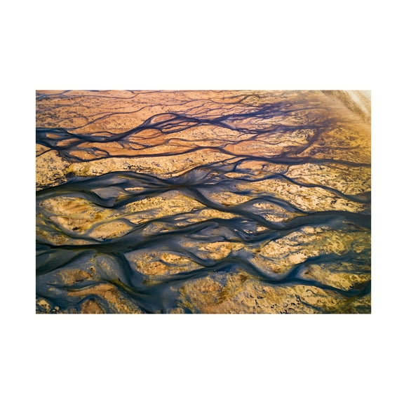 Canvas Wall Art - Faisal ALnomas 'The Black Rivers' Wall Art for Living Room, Bedroom, or Office Décor by Trademark Fine Art - 19 x 12 Inches