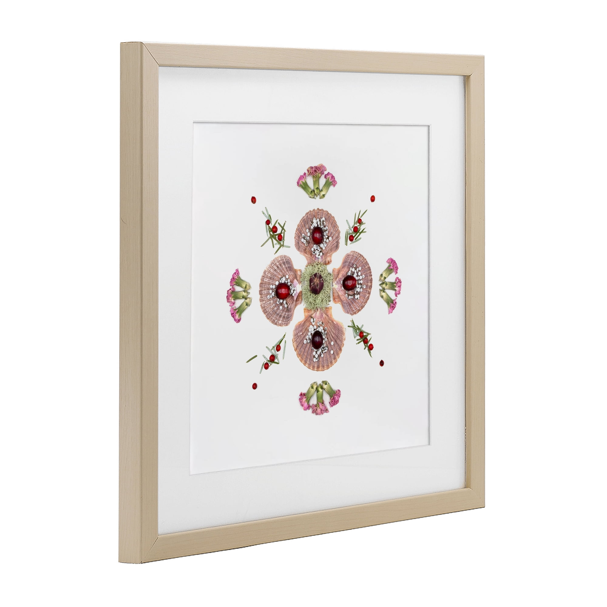 Stupell Industries Clam Shells & Botanicals Pattern Birch Framed Print Under Glass, design by Beth Adoette