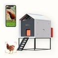 thumbnail image 5 of coop Smart Coop for 4 to 6 Chickens with Elevated Base, 200-000, 5 of 7