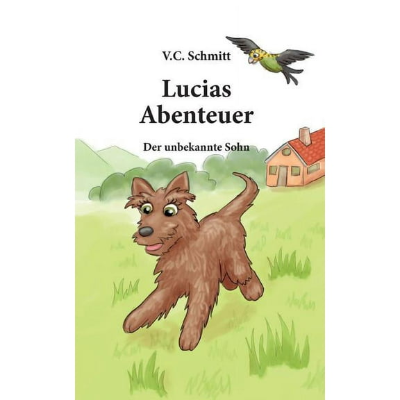 Lucias Abenteuer: Der Unbekannte Sohn, (Paperback)